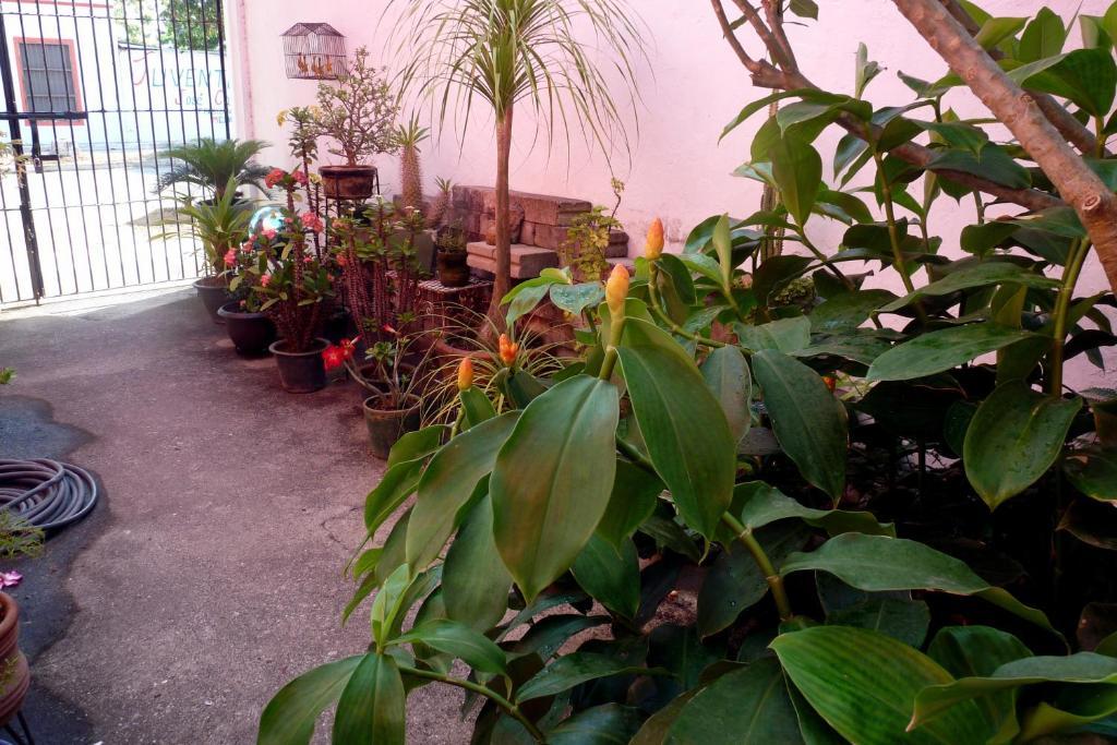 Casa De La Luz - Studio Apartment ตลาโคตาลปัน ห้อง รูปภาพ